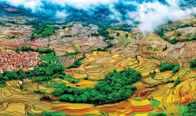 世界级认证！凭实力圈粉