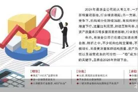 监管趋严分化加剧 消金公司应变求稳图片