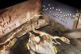 走进朝阳古生物化石博物馆，探秘“热河生物群恐龙”背后的谜团图片