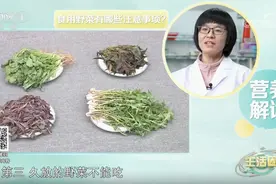 春天推荐吃这4种野菜 如何正确食用？请收藏图片