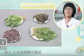 春天推荐吃这4种野菜 如何正确食用？请收藏图片