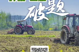 今日好稿丨好种多打粮，好米多卖钱！种粮“三难”这样破题图片