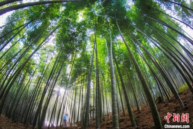重走抗战路，一定要去一趟永安！