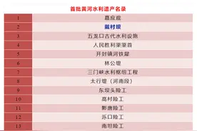 首批黄河水利遗产名录公布！泰安这3处入选图片