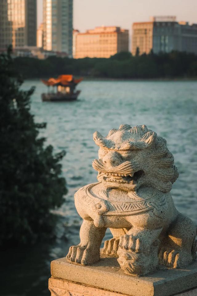 冬日暖阳里，来丰泽这儿享受惬意时光……