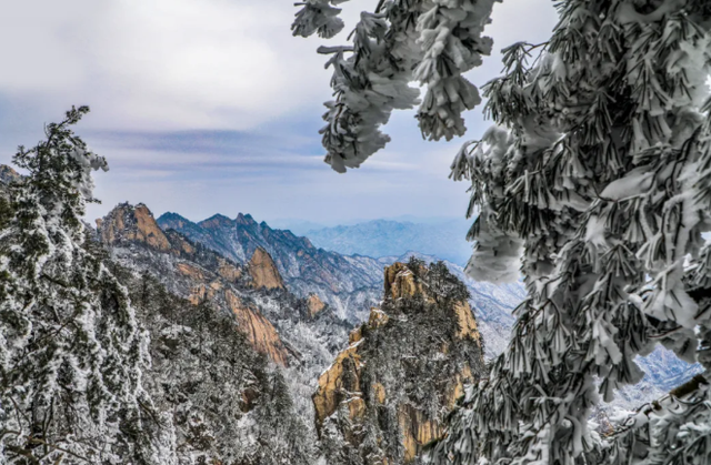 跨年、元旦去哪儿玩？河南这些景区免票/半价！