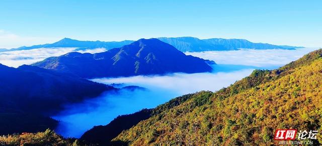 【每日一图@湖南】月夜风车与霞光云海同框？初冬的桂东万洋山做到了