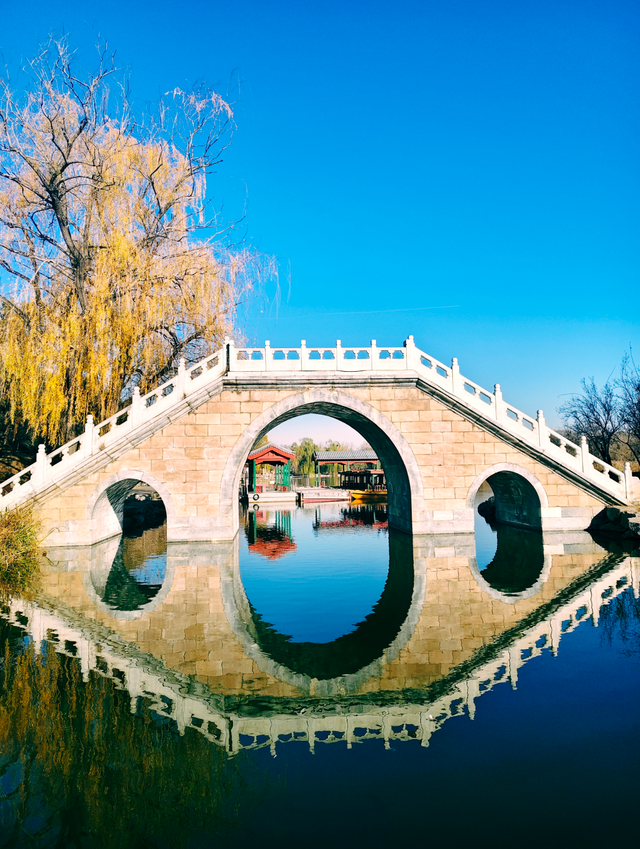 动静皆是景！踏进圆明园的冬日画卷