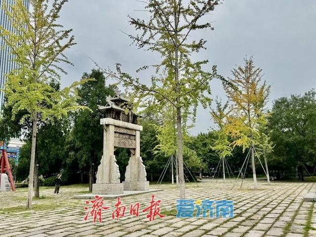 初秋济南兴福寺：银杏撒金映古建 绘就城市诗意画卷