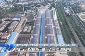 “戴”上遮阳帽、云端看“体温” 粮仓里的度夏装备上新了图片