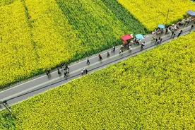 市州观察丨泸州：用一路繁花点亮“春日经济”图片