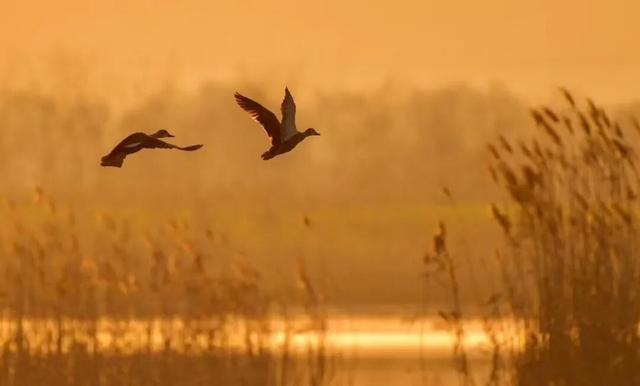 大雪了，你什么时候回盐城啊？
