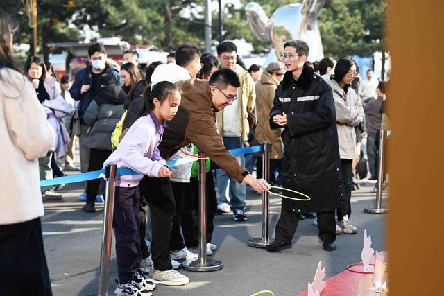 海鸥与音乐共舞，生态文化融合！市南区启动“冬日暖南”活动