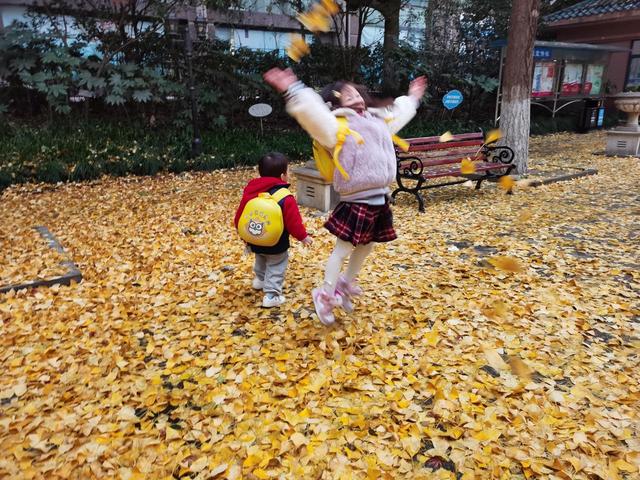 写点生活｜魔都小区，藏着晚秋初冬的金韵