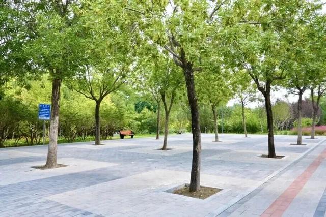 17万平方米绿廊上线！就在——