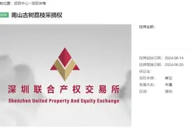 深圳6棵百年荔枝树采摘权，明天拍卖！2万元起图片