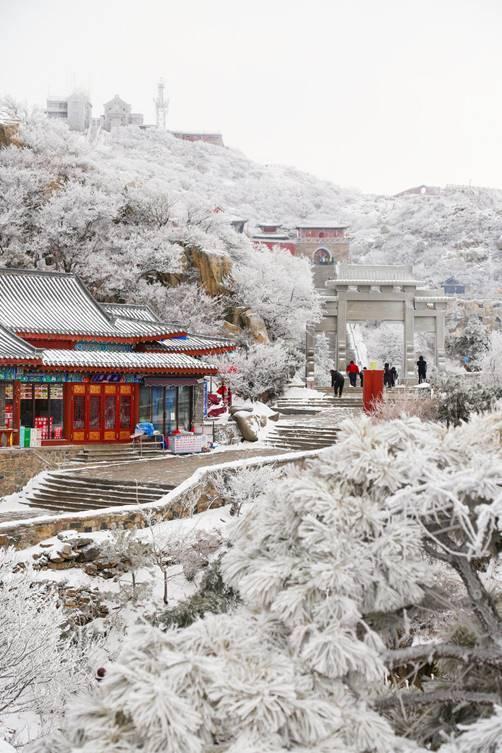 温泉袅袅、候鸟翩翩、冰雪灼灼——这个冬天，齐鲁大地邀你来场“冷”与“暖”的双重奔赴