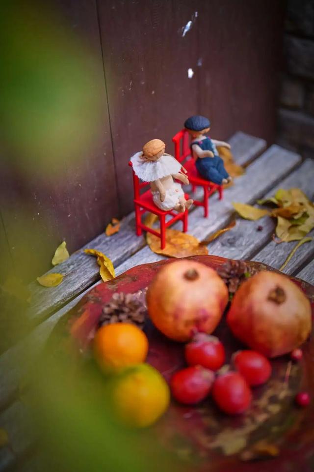 来东城这个胡同小院，邂逅蘑菇精灵的童话秘境——