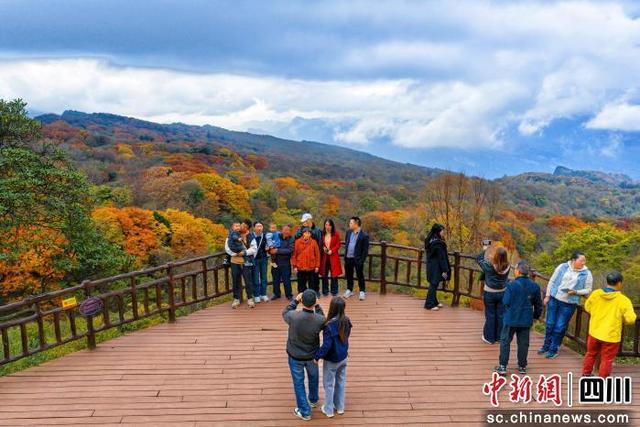 秋假引燃旺苍文旅热 首日客流突破2.5万人次