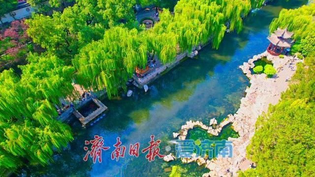一年四季 泉在济南丨济南护城河水位显著上涨，迎来一年最佳观赏期
