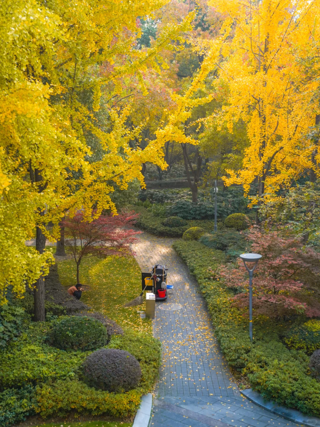 出站即是大片！上海秋日最美地铁站已上线→