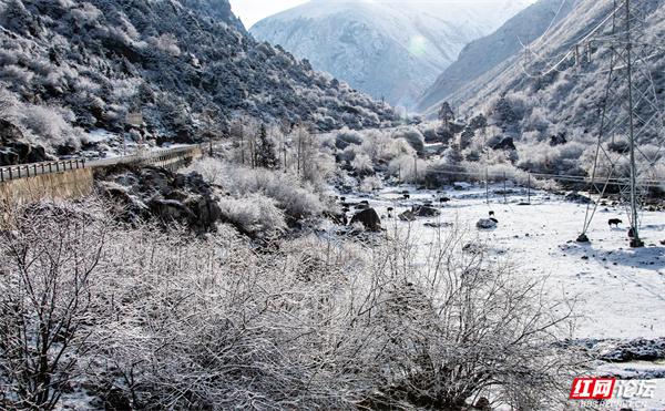 又向青藏踏雪行⑦丨垭口听风湖畔立，逍遥一路到亚东