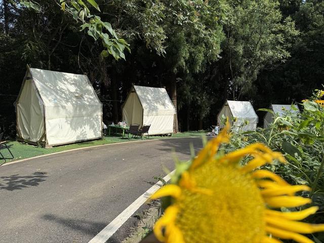 赴一场“山上居”的诗意之约  2025华蓥山旅游文化节开幕