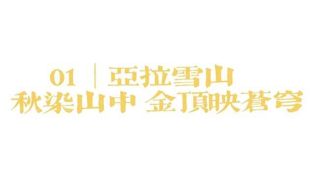 道孚的秋天正在派件中...