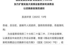 纳入“国四”燃油车，“以旧换新”再扩补贴范围促汽车消费图片