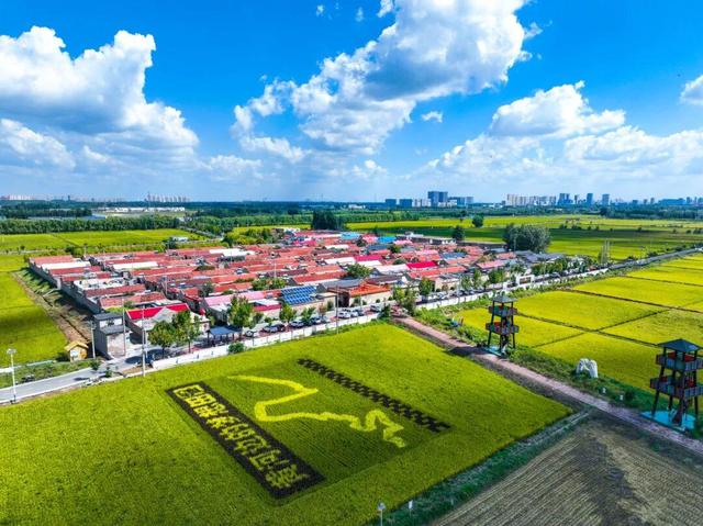 自驾行•游乡村｜济南线路推荐：槐荫、长清、平阴篇