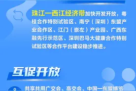 跨省交朋友｜这一年，粤桂合作有点甜图片