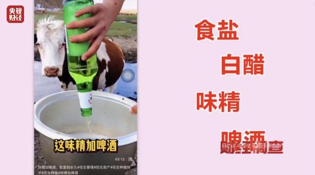 承认了，全是演的！网友怒了：太没有良心