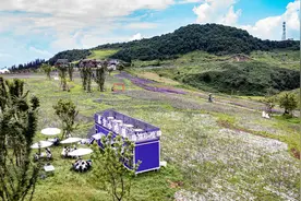 贵州六盘水：高山小镇迎来夏日旅游高峰图片