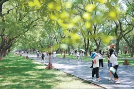 City walk来天坛！3条清凉路线任您挑选→图片