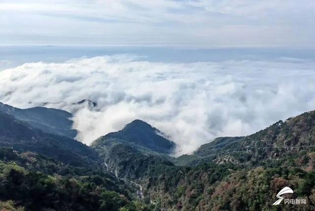 组图丨泰山秋韵：当云海吻过山林 是独属于十月的浪漫