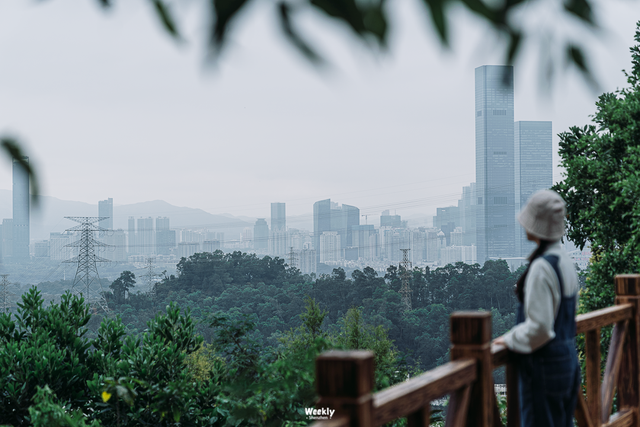 “这条路线，建议深圳人都去一遍”