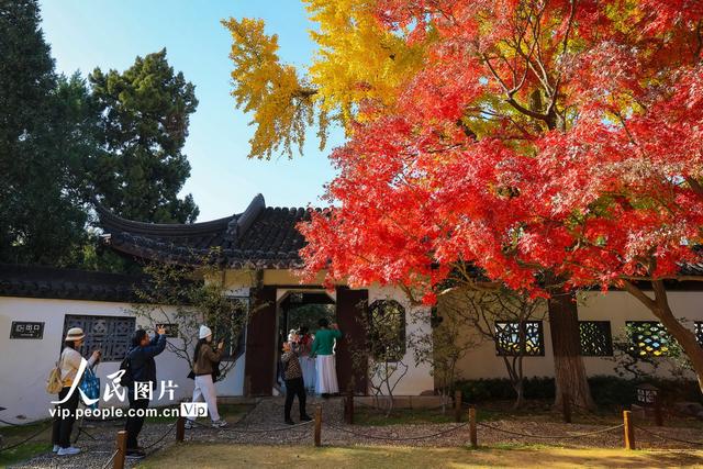 江苏南京：莫愁湖公园冬景醉游人