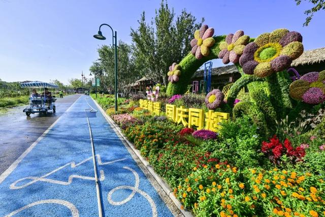 240万株鲜花绿植装扮副中心！国庆中秋景观惊艳亮相