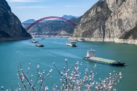 最美新农人 | 千年求索 “橙”才摇篮图片
