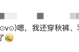 300元/公斤！华东地区杨梅季提前拉开帷幕图片