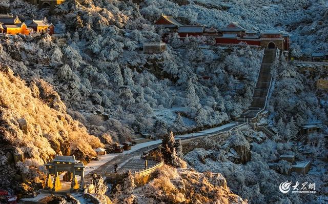 霜峰染金辉 泰山冬日沐暖阳