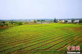 湖北宜昌：流域治理打造“绿富美”乡村图片