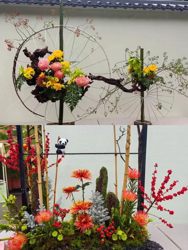 免费观赏！美到犯规