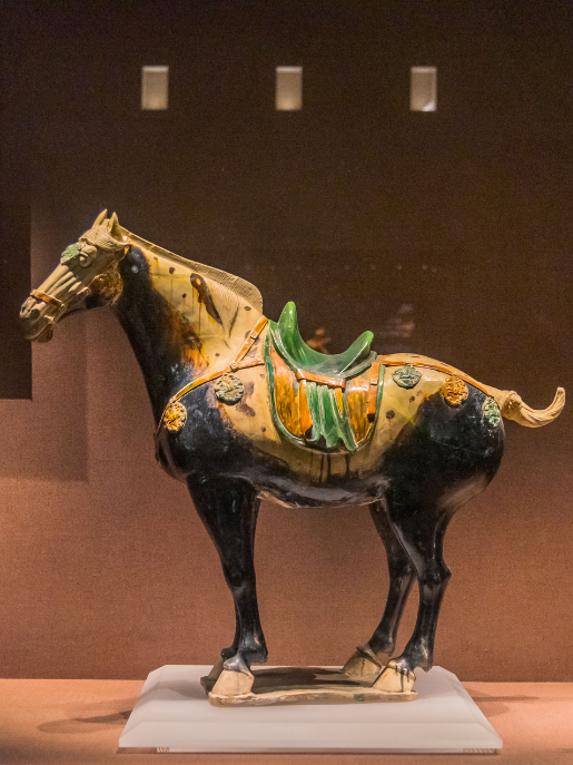 还有谁不知道，逛洛阳真的不用花钱