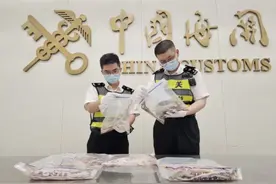 男子裤兜装104条活体蛇进境，色彩斑斓形态各异！被拦截图片