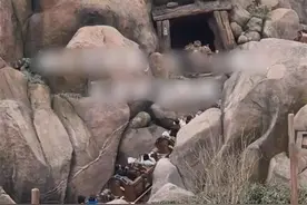 上海迪士尼突发，最新回应图片