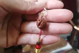 我在山东守民俗丨潍坊人把山东故事刻在桃核上图片