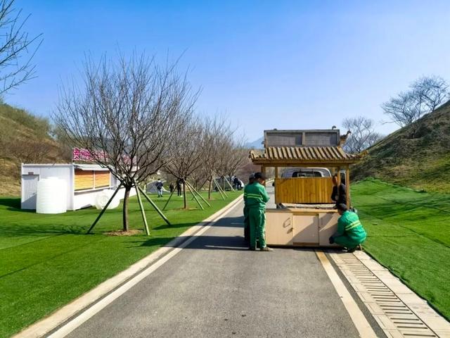 开园倒计时！贵州梅园梅香渐浓，静候君至