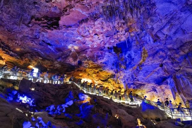 知识+100，快乐+100