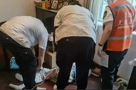 网格员用心守护，上海新华路街道老人感受到“稳稳的幸福”图片